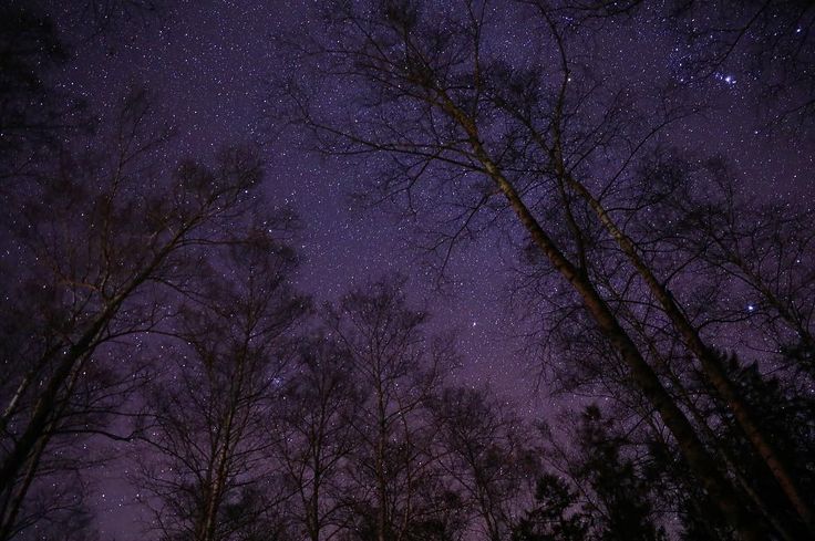 𝕰𝖑𝖊𝖒𝖒𝖎𝖗𝖊 tweet media