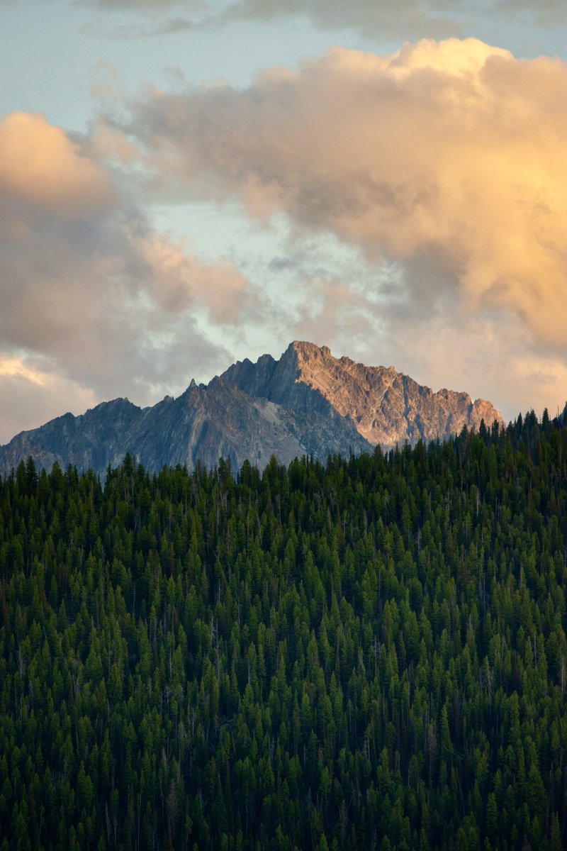 God's Country tweet media