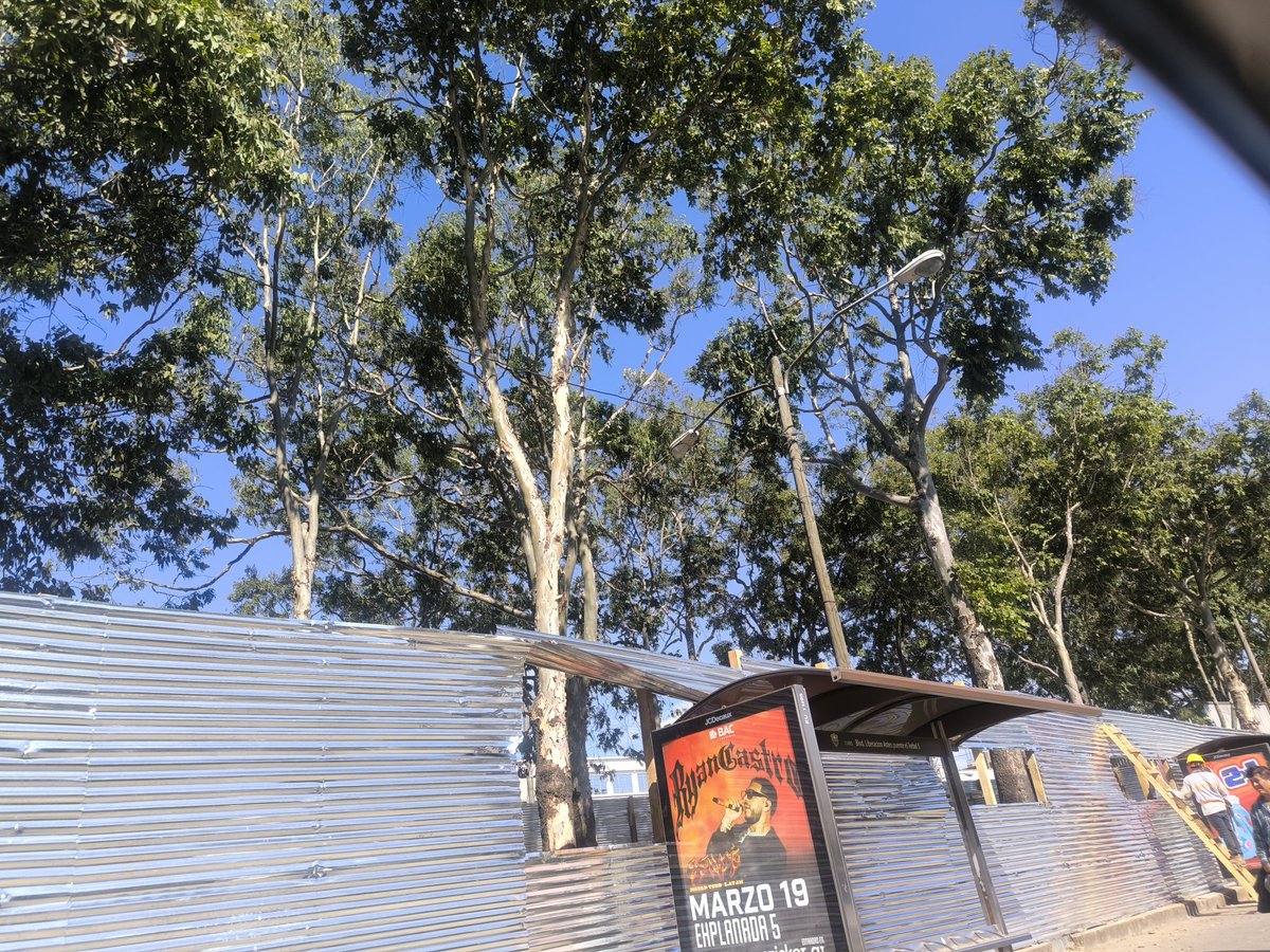 Lo que vamos a perder 🤮🤢💔#DetenganElAerometro #NoAerometro