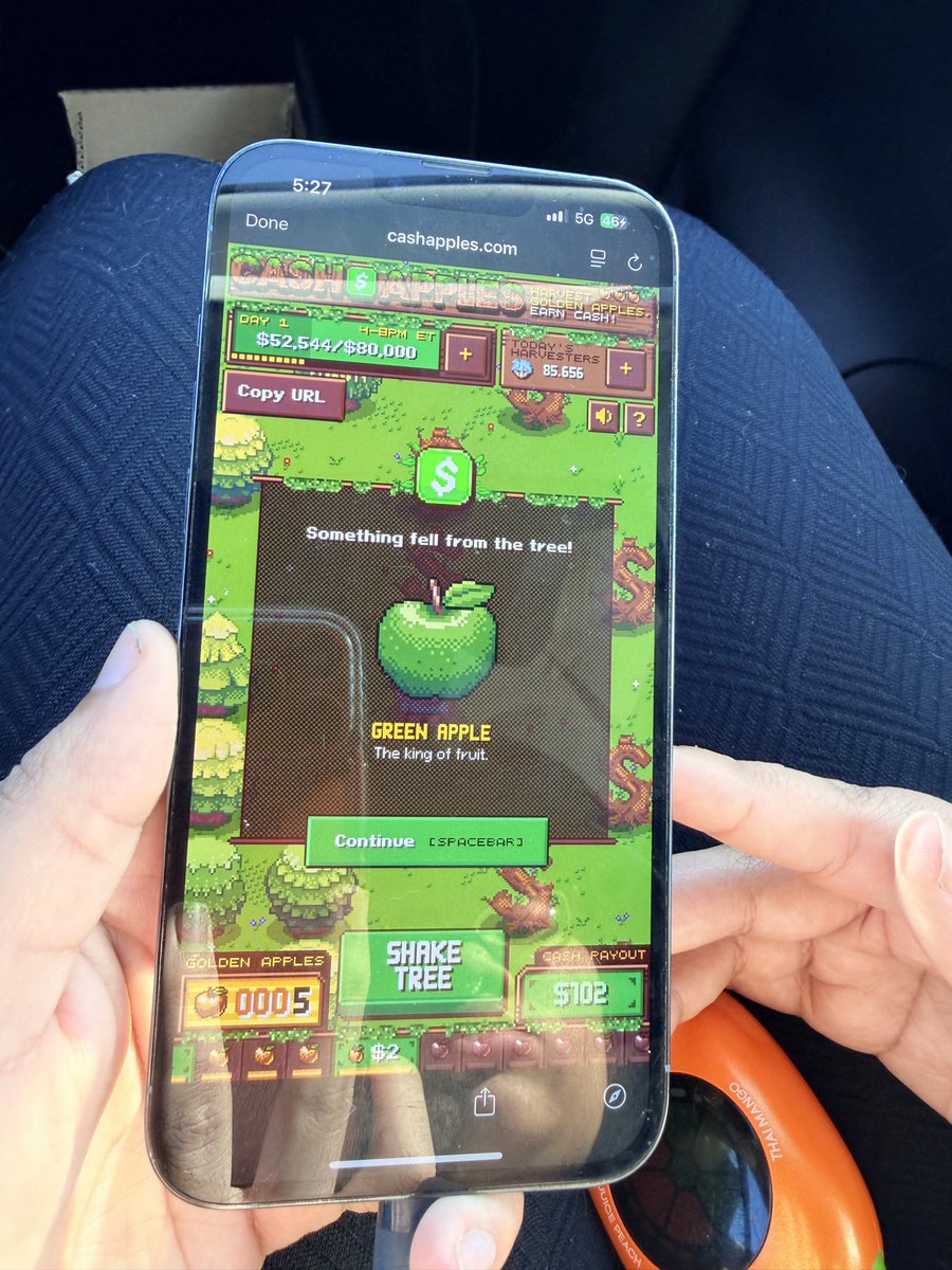 GeckoCollects tweet media