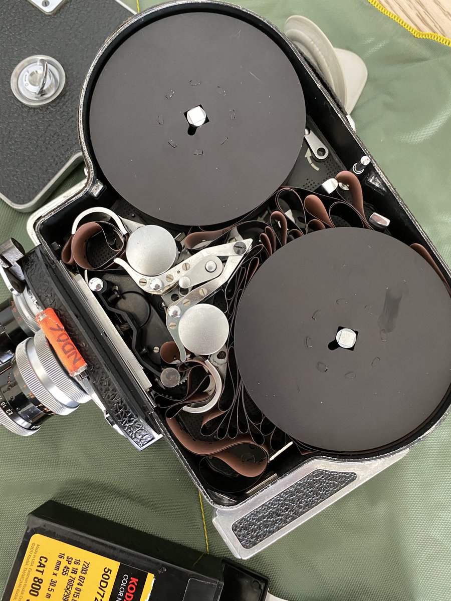 William Wilkinson tweet media