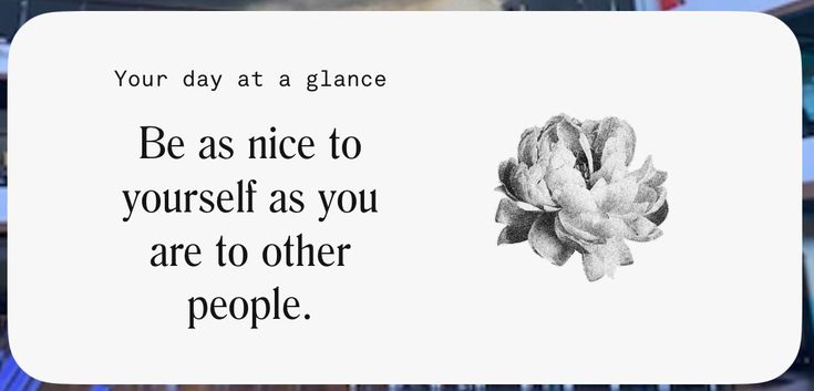 ₊ ♡ .. 子猫、𝘈𝘯𝘯𝘢-chan.🐈‍⬛🪽 tweet media