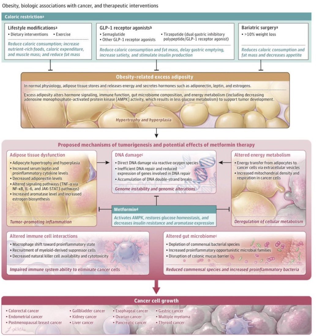 Nieves Martinez Lago MD PhD tweet media