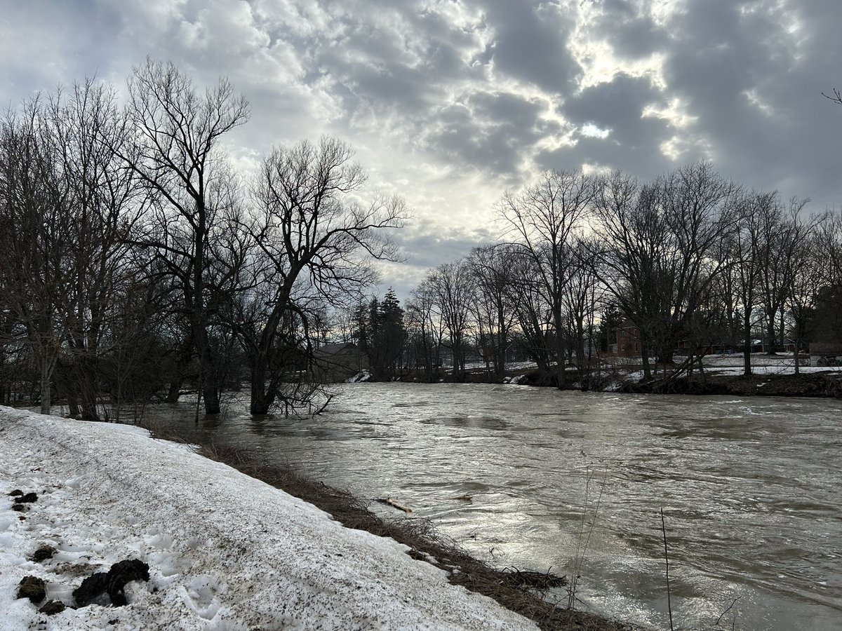 Justin M🇨🇦 tweet media