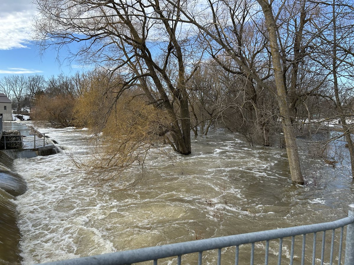 Justin M🇨🇦 tweet media