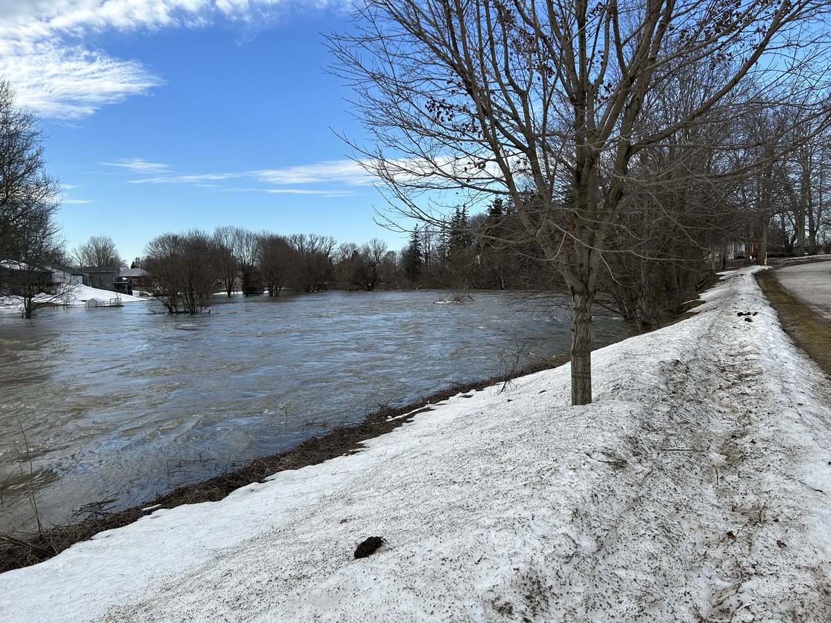 Justin M🇨🇦 tweet media