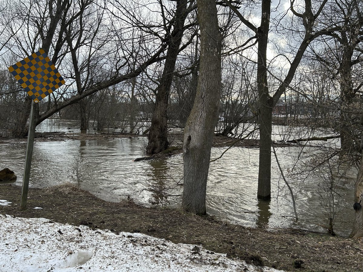 Justin M🇨🇦 tweet media