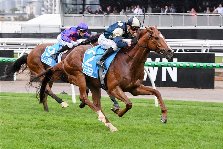 Zac Talbot tweet media