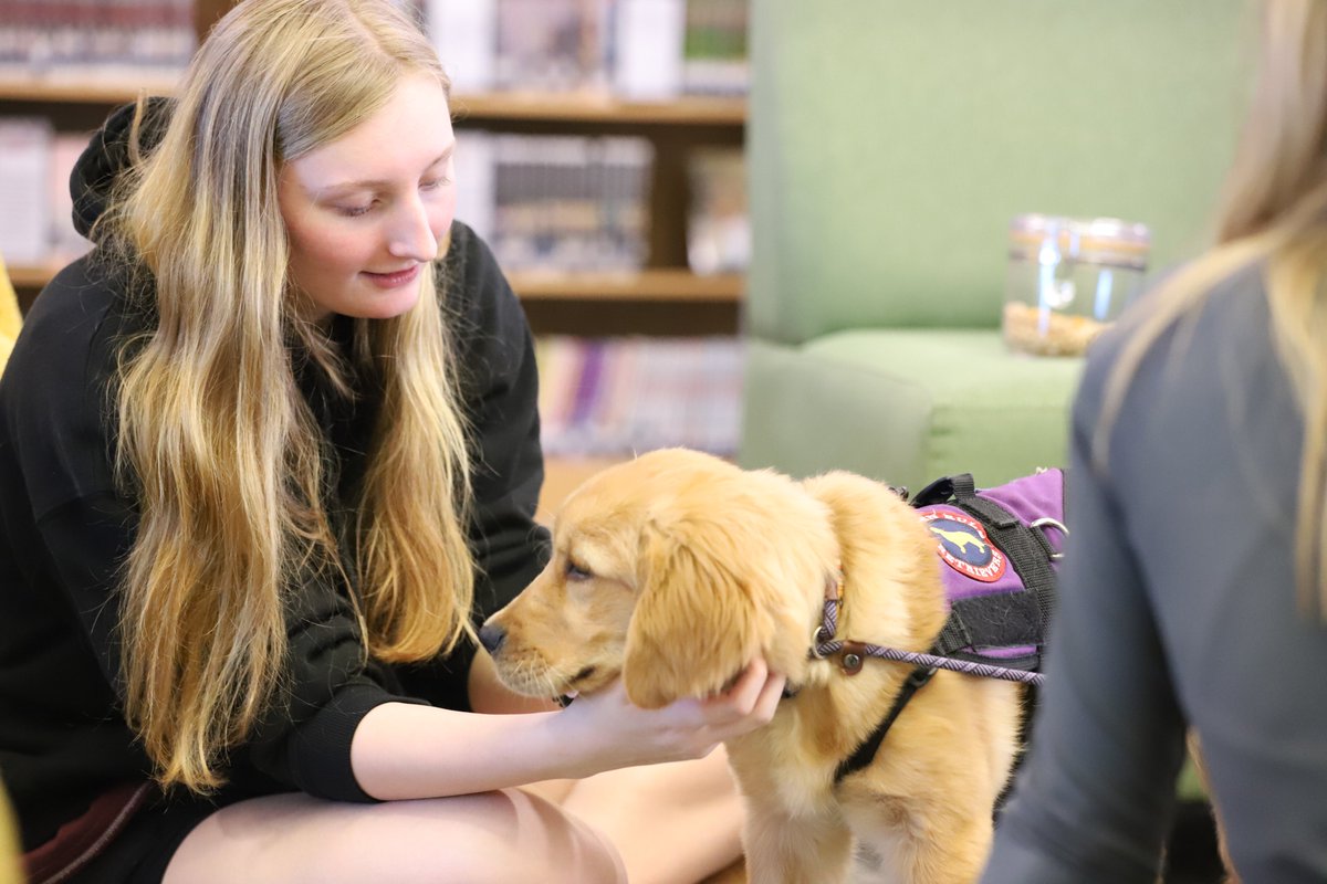 Louisa County Public Schools tweet media