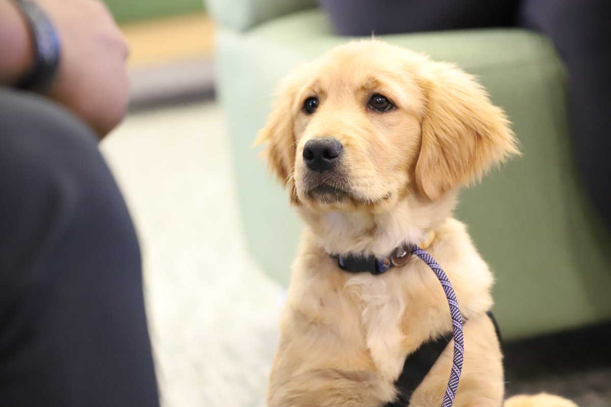 Louisa County Public Schools tweet media