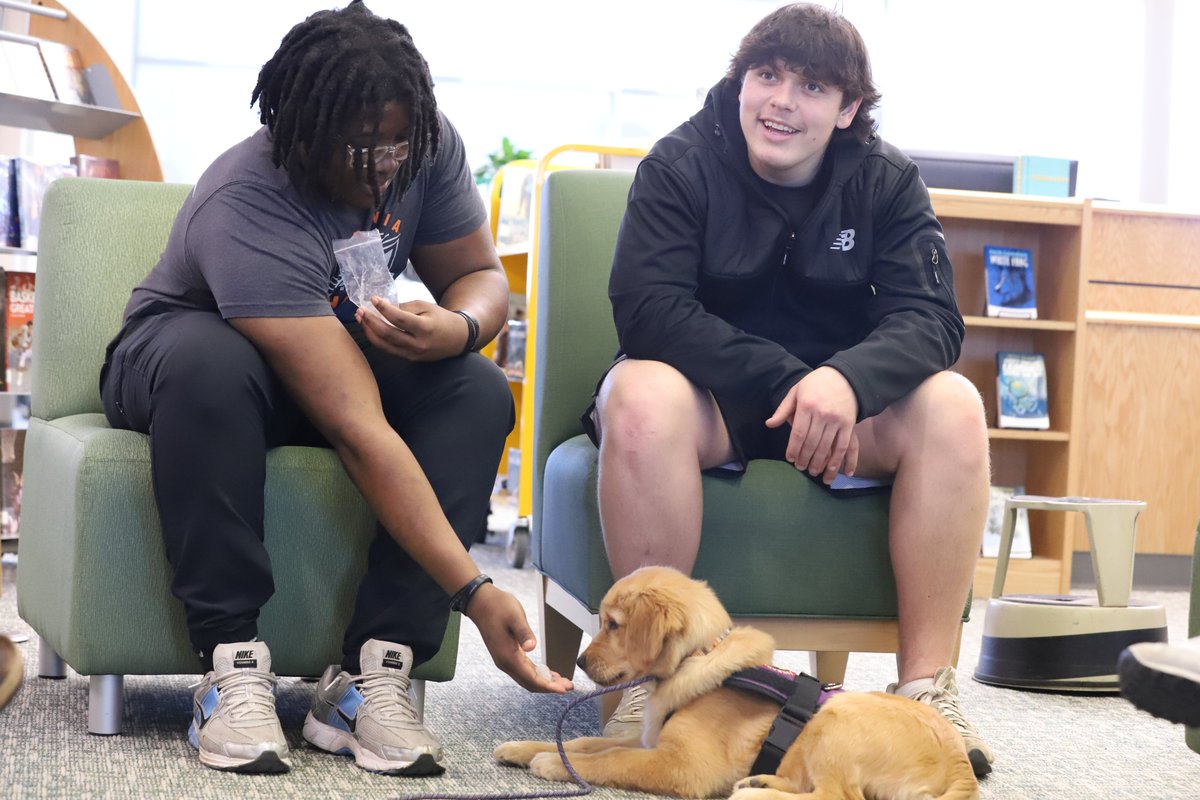 Louisa County Public Schools tweet media