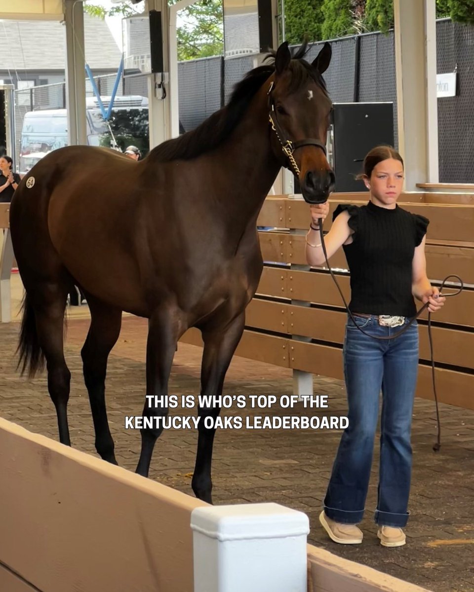 Fasig-Tipton tweet media