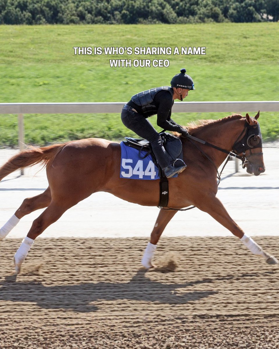 Fasig-Tipton tweet media