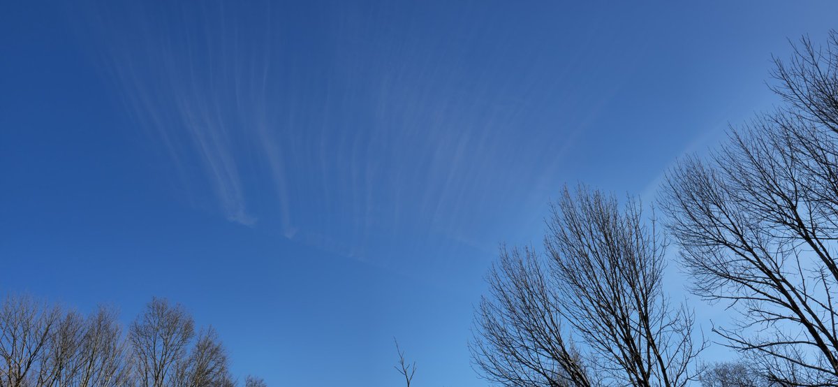 Ryan benoit tweet media