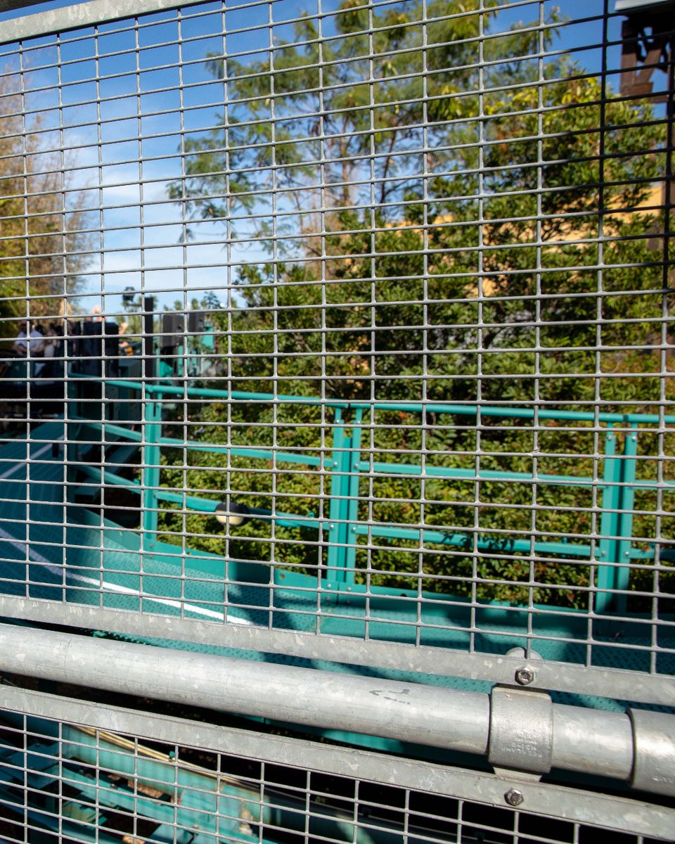 mcnicholsco's tweet image. Reliable protection for amusement parks where safety can’t be compromised! 🚷

At Busch Gardens Tampa, Rectangular Wire Mesh Infill Panels provide a strong material to safeguard areas while still allowing visibility and airflow. 🚧

#WireMesh #InfillPanels #BuschGardensTampa