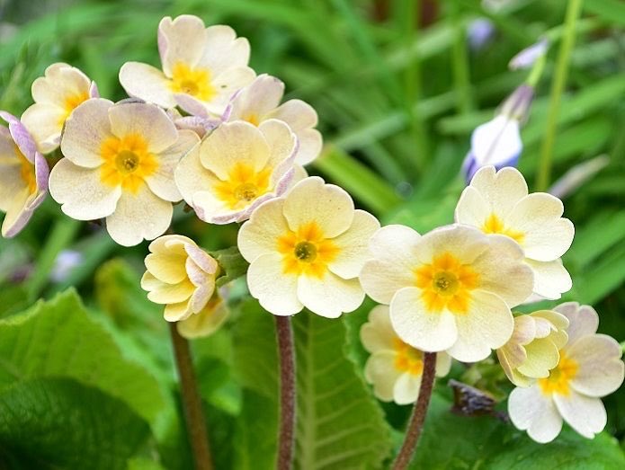 Good morning ☕️
Tuesday is here.
The week is moving forward.
Just take it one step at a time.
Wishing you a gentle day 💛

おはようございます。
火曜日です。
今週も少しずつ前に進んでいます。
焦らず、一歩ずつ進んでいきましょう。

穏やかな一日を💛