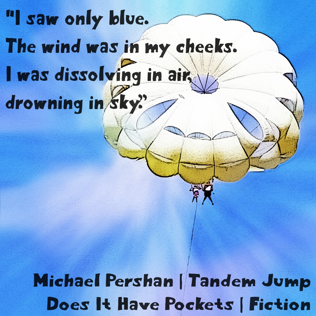 Does It Have Pockets tweet media