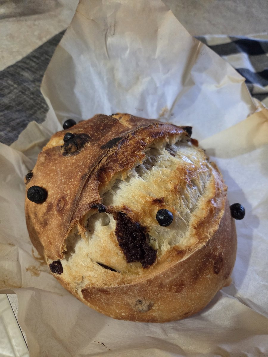 Knives 🐾🏁 Sled Dog Vtuber tweet media