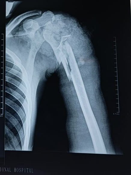 ORGANIC MECHANIC tweet media