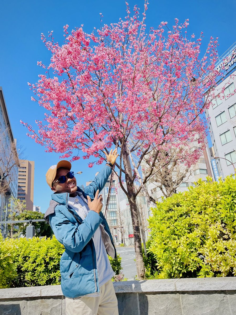 thwonderspeaker's tweet photo. Standing beneath this tree, watching the petals dance with the wind, I’m reminded that life too is like sakura… temporary, precious and meant to be lived in full bloom.

May we all learn to bloom boldly, live beautifully and fall gracefully when the season changes. 🌸✨ https://t.co/YxsmoQHCHs