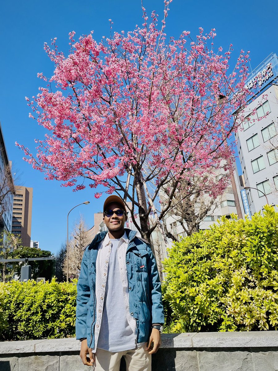 thwonderspeaker's tweet photo. Standing beneath this tree, watching the petals dance with the wind, I’m reminded that life too is like sakura… temporary, precious and meant to be lived in full bloom.

May we all learn to bloom boldly, live beautifully and fall gracefully when the season changes. 🌸✨ https://t.co/YxsmoQHCHs