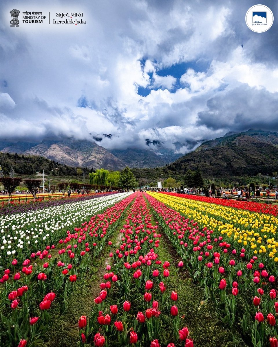 incredibleindia's tweet photo. If springtime colours are your kind of magic, the Tulip Festival in Srinagar, Kashmir is an experience not to miss! 

Witness Asia’s largest tulip garden blooms against the stunning backdrop of the Zabarwan Range, showcasing over a million tulips in dozens of varieties. 

The best time to visit is late March to mid-April, when the flowers are at their vibrant peak and the annual Tulip Festival celebrates Kashmir’s natural beauty. 🌷

#IncredibleIndia #JammuandKashmir #JammuandKashmirTourism  #ExploreIndia