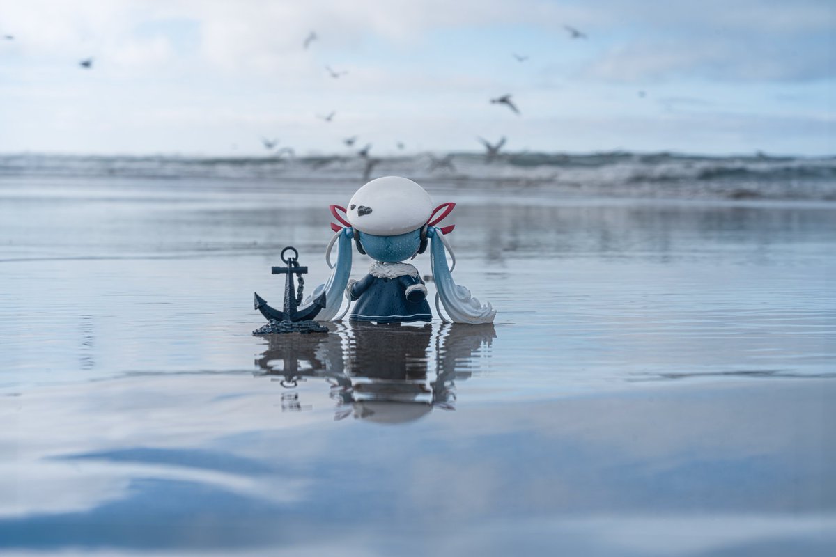 陶格曼 tweet media