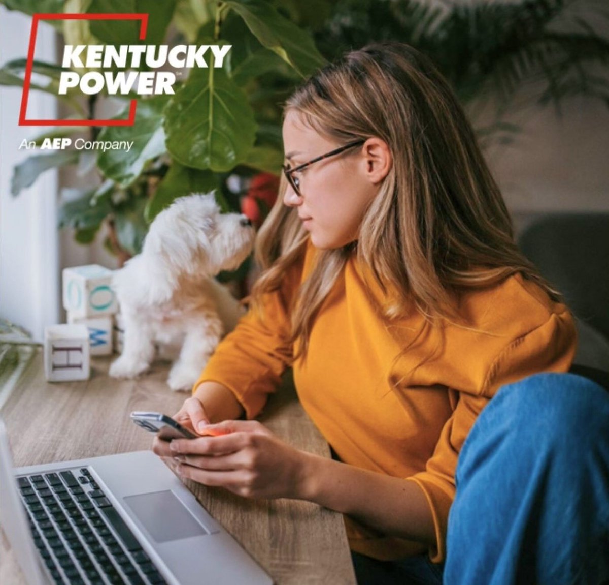 Kentucky Power tweet media