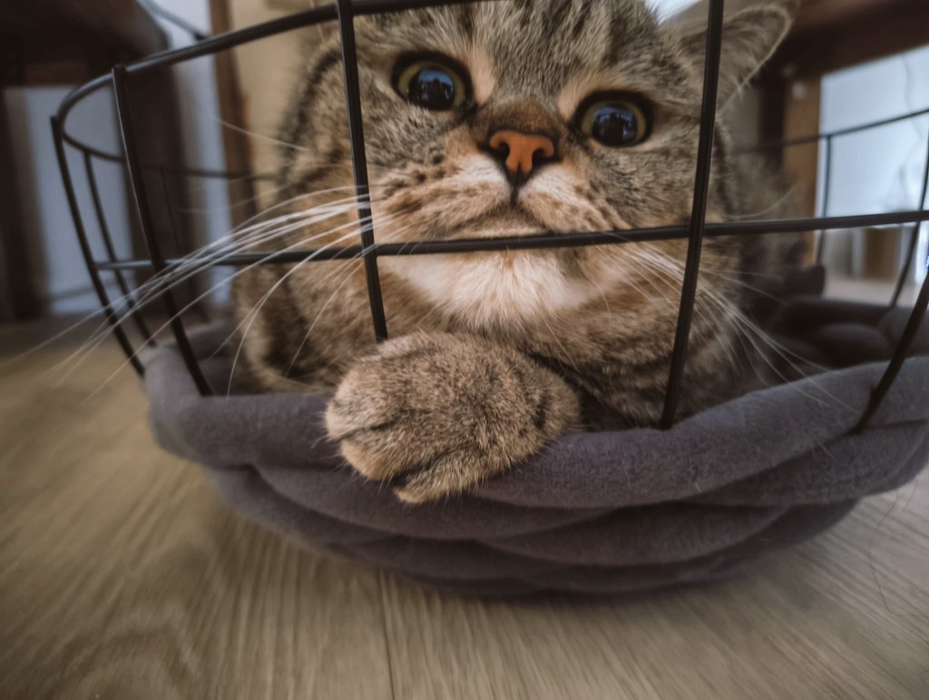 Lars 𖠰 tweet media