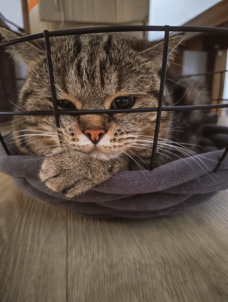 Lars 𖠰 tweet media