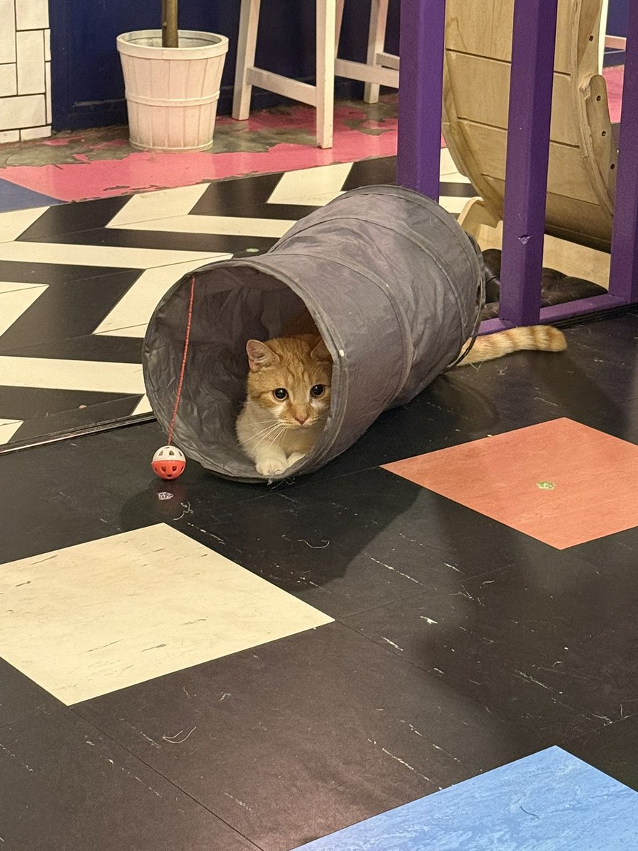 Lord Miles Official tweet media