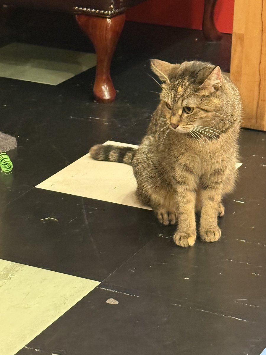 Lord Miles Official tweet media