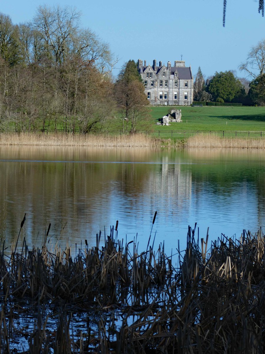 Billy Lyons tweet media