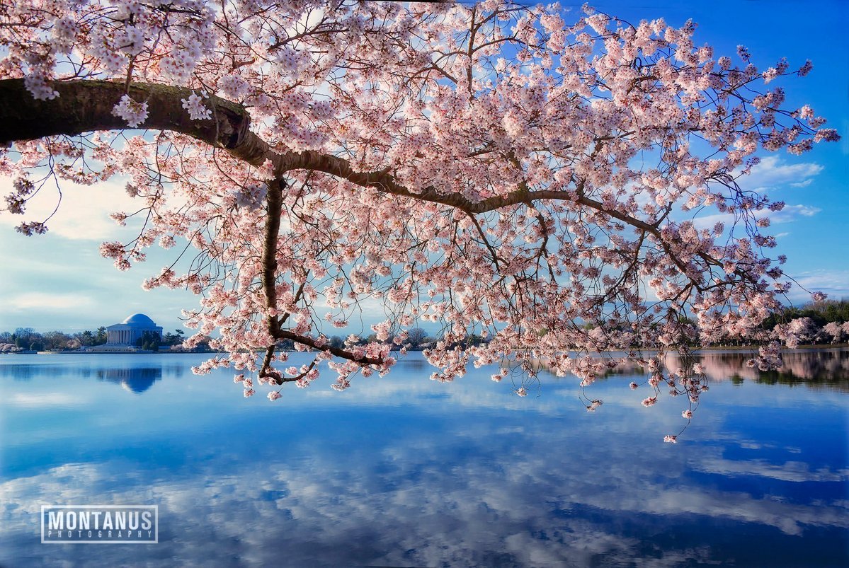 James Montanus tweet media