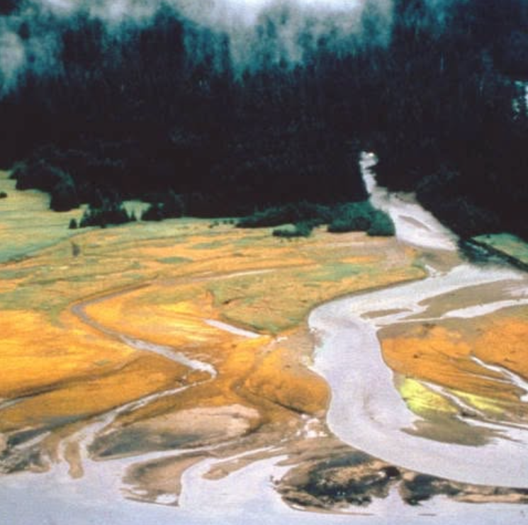 Fordham University Libraries tweet media