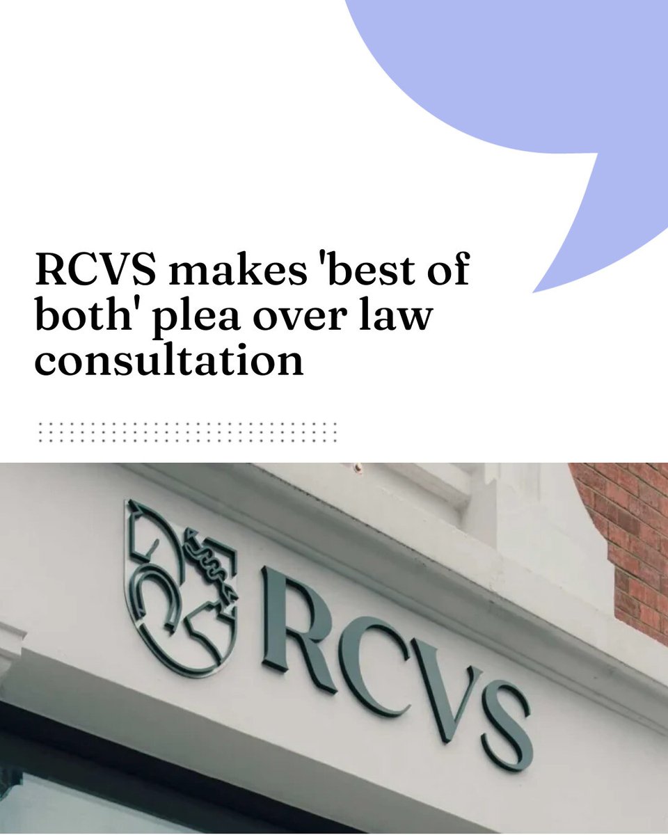 VN Times tweet media