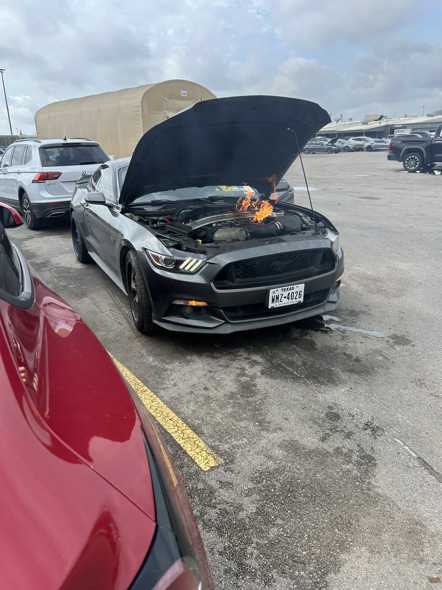 𓂅𓍼๑ tweet media