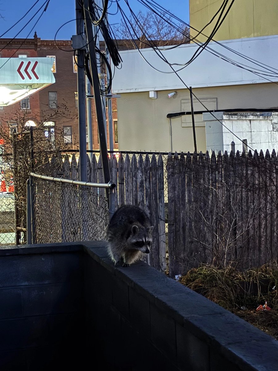 Billy Fleming tweet media