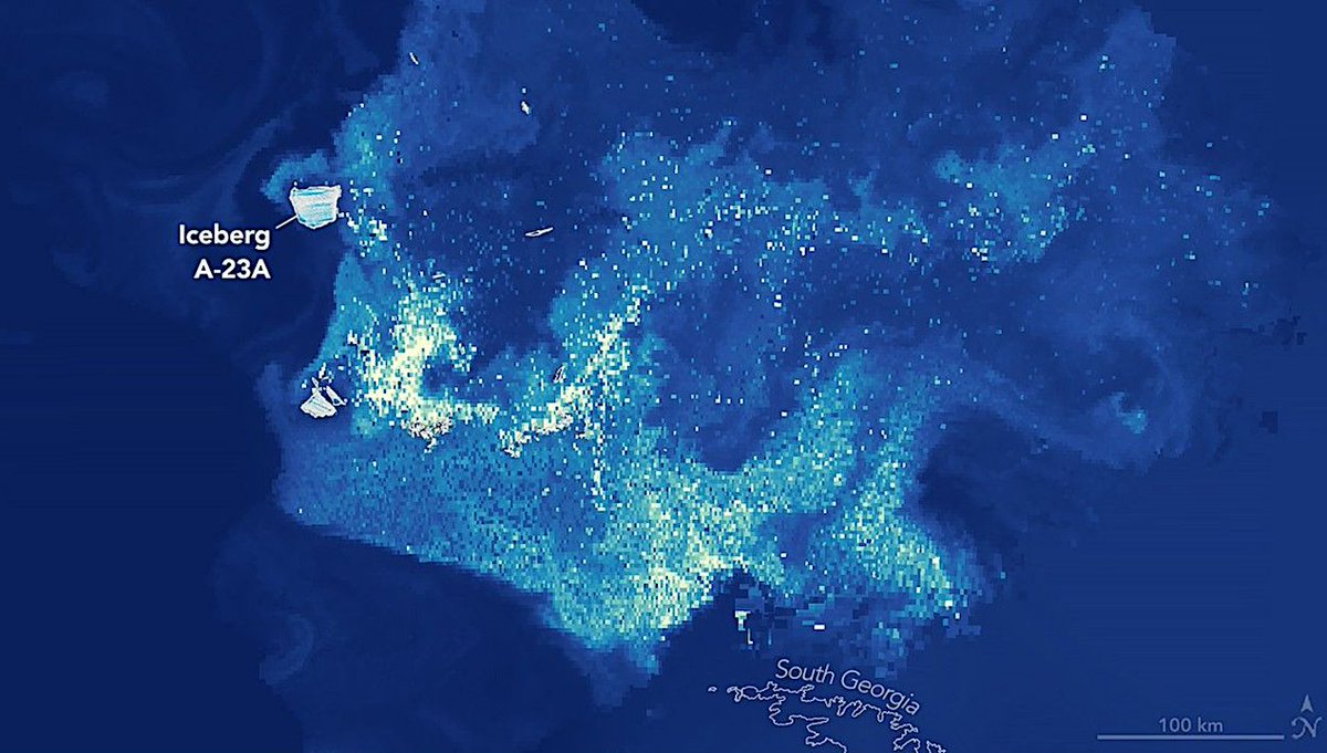astrobiology's tweet image. Erosion Of Iceberg A-23A Sparks A Surge Of Microscopic Life
astrobiology.com/2026/03/erosio… #astrobiology #cryosphere #microbiology