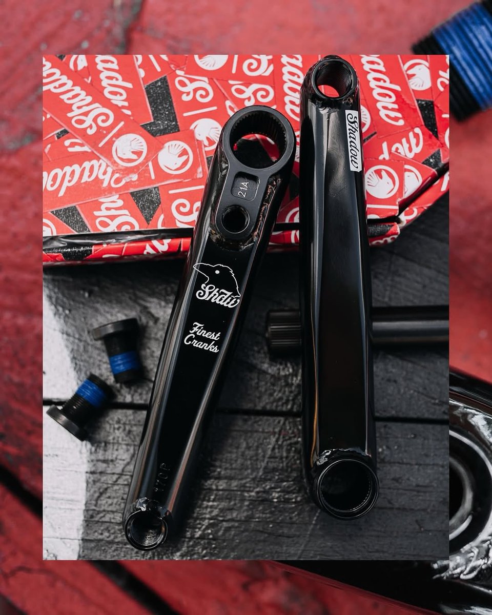 SourceBMX tweet media