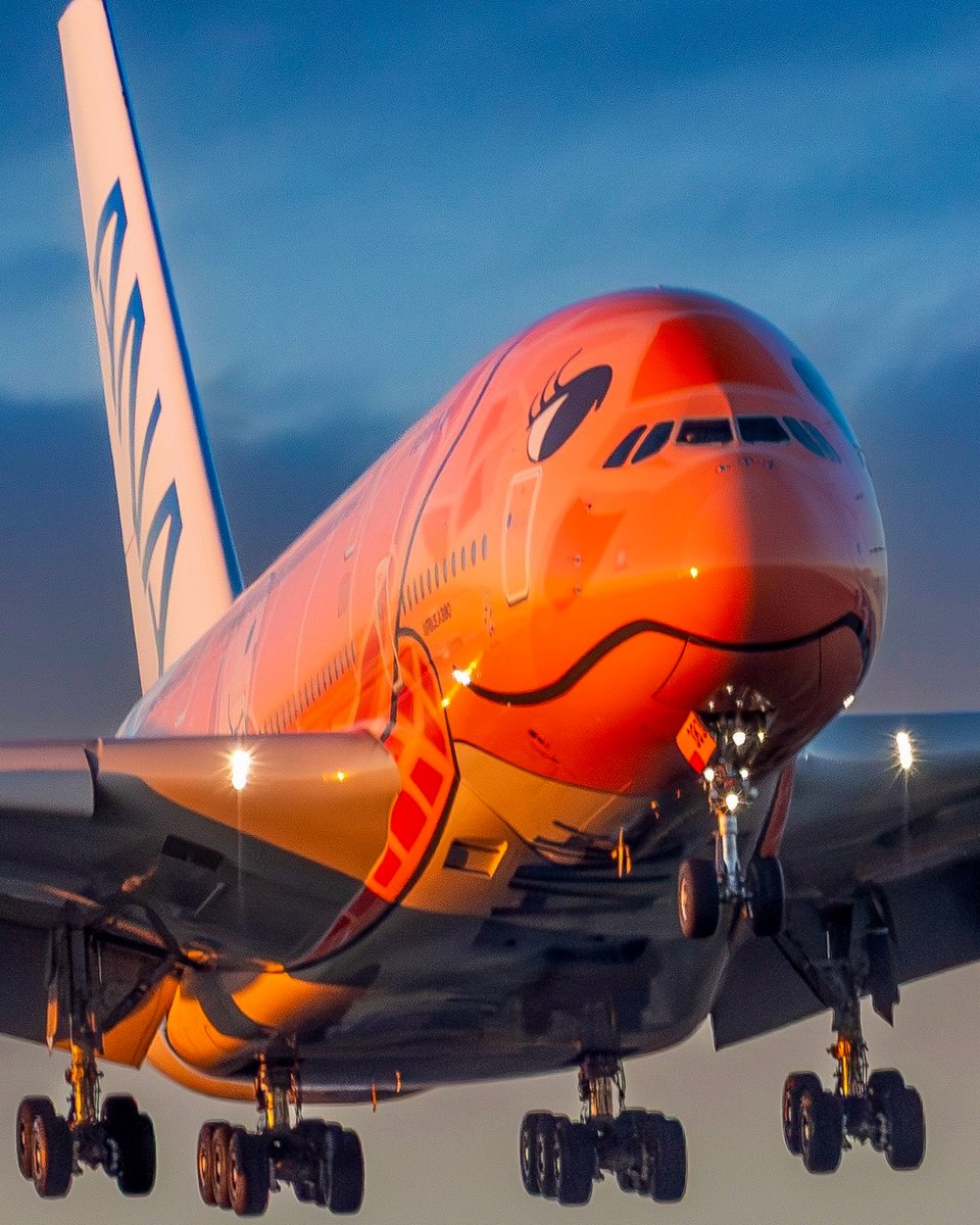 FlyANA_official's tweet photo. Sunshine in aircraft form. 😊

Thanks to IG user avia_tion1105 for this awesome FLYING HONU shot. 🧡🐢
#AllNipponAirways #FlyANA #ANAHawaii https://t.co/4jTELGnCRl