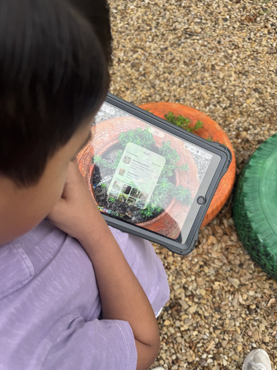 Katy McDonald tweet media