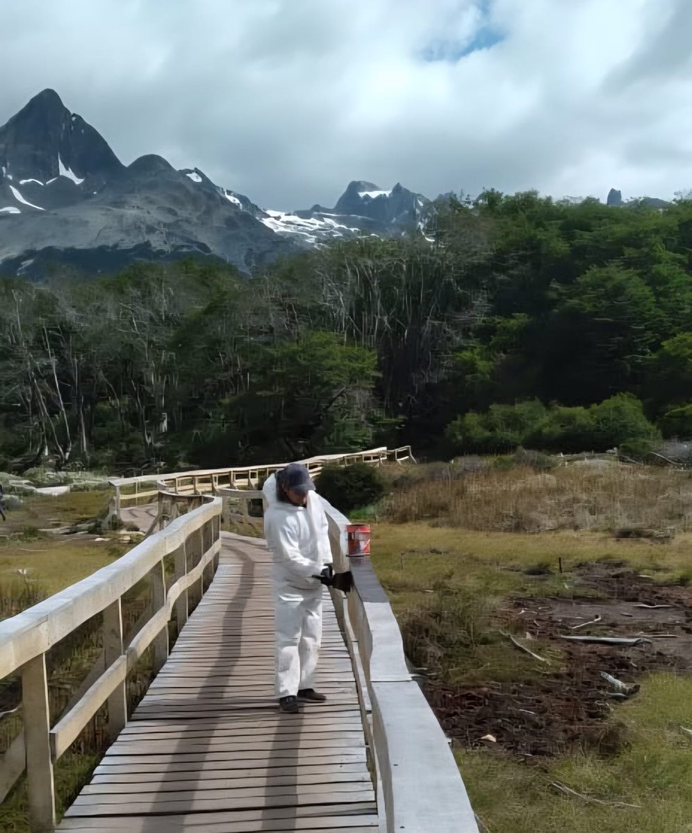 Instituto Fueguino de Turismo tweet media
