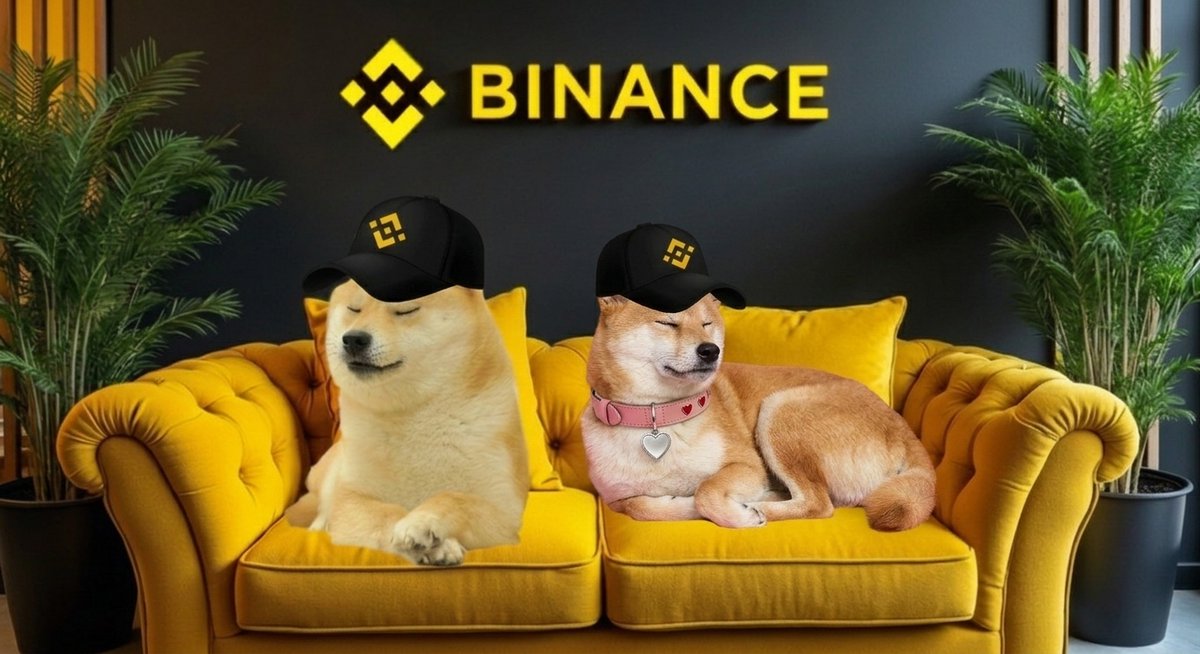<a href="/binance/">Binance</a> such nap
very comfy
much recharge

Happy International Napping Day! 🫶