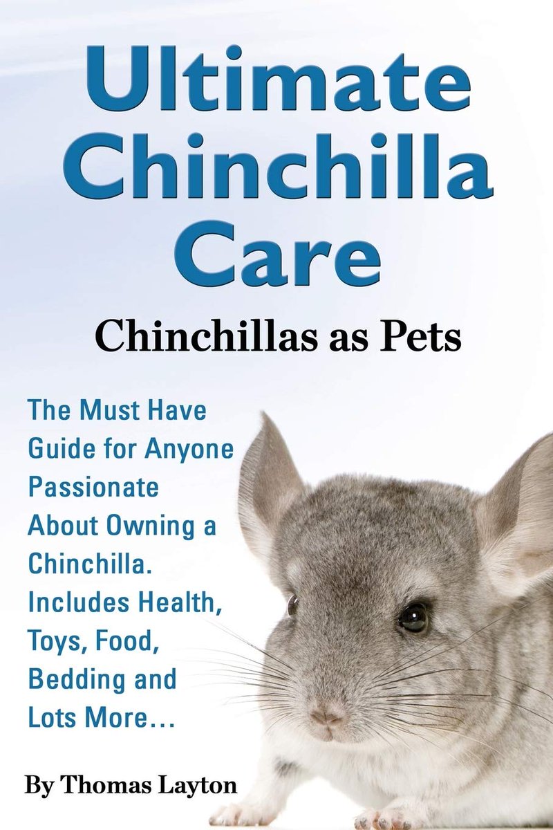 swtbay's tweet photo. Ultimate Chinchilla Care Chinchillas as Pets the Must Have Guide for Anyone Passionate about Owning a Chinchilla. Includes Health, Toys, Food, Bedding https://t.co/MhzpMyN9y9 https://t.co/s6PtK01E2e