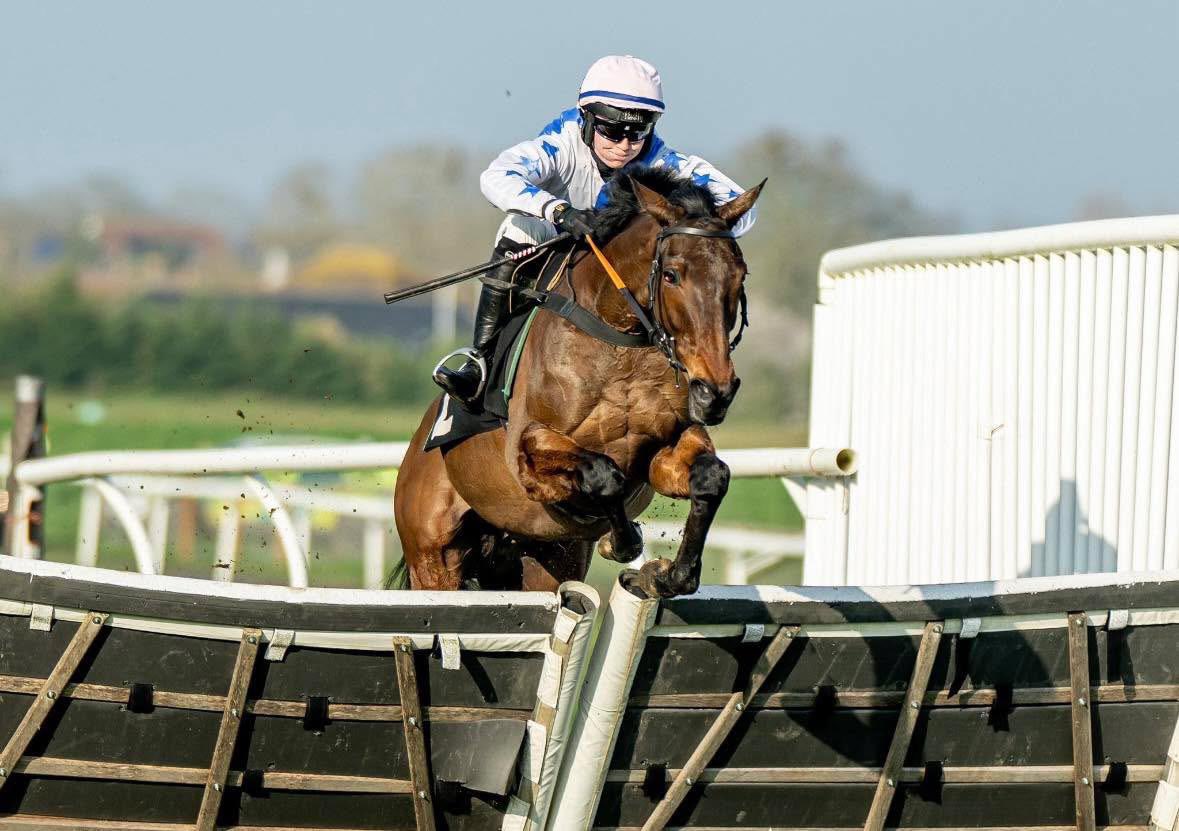 Nigel Hawke: Thorne Farm Racing tweet media