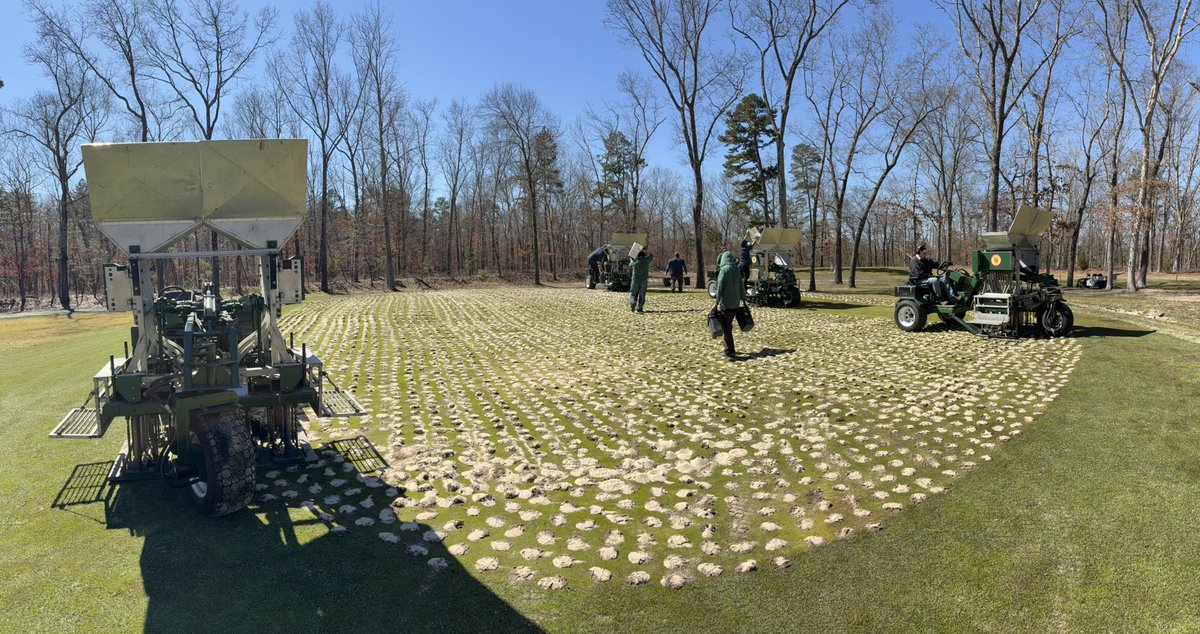 Double D Turf LLC tweet media