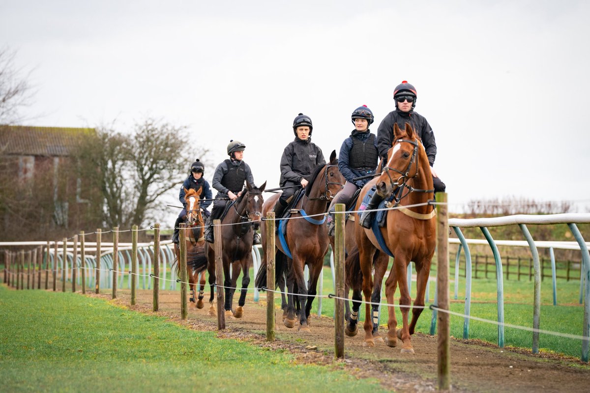 Fergal O'Brien Racing tweet media