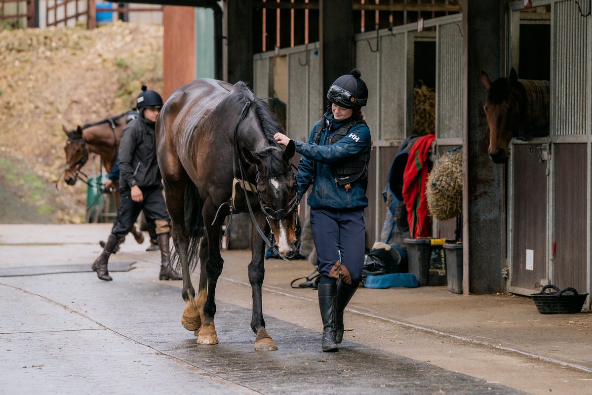 Fergal O'Brien Racing tweet media