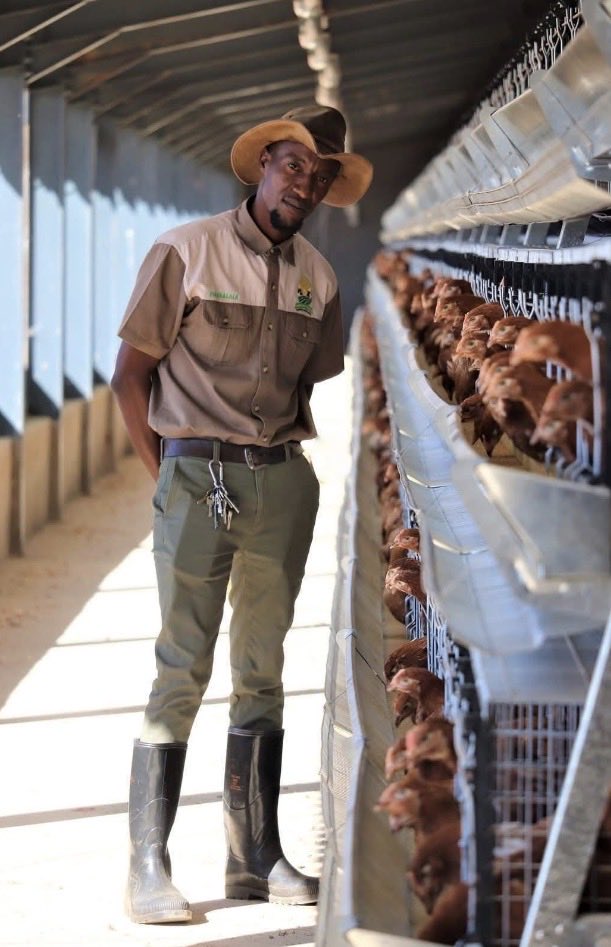 KatlegoMaseng1's tweet photo. From selling eggs and clothes on the streets to building a thriving farm. 

Meet Sizo Tshabalala — a determined farmer who now runs a 7,500-layer chicken farm and owns over 250 Bonsmara cattle.

What started as street hustling has grown into a powerful agricultural operation.

This is one of South Africa’s most inspiring farming journeys. 🐔🐄